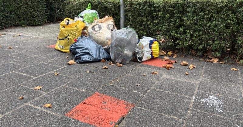 Extra ophaalrondes, meer handhavers op straat: helpt Hengelo’s afvaloffensief?