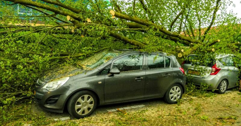 Noodweer treft Enschede: boom waait om en valt op geparkeerde auto's