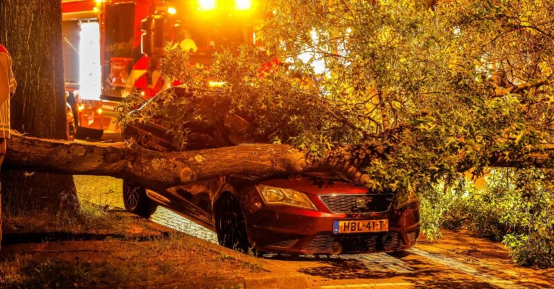 Grote tak valt op geparkeerde auto in Enschede, straat deels afgesloten
