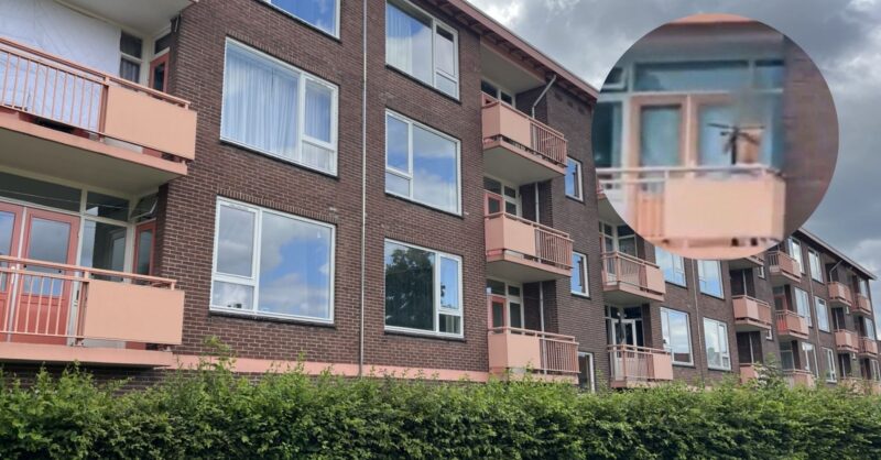 Almelose kruisboogschutter Kenzo K tegen rechter: 'Tbs beste wat me is overkomen'