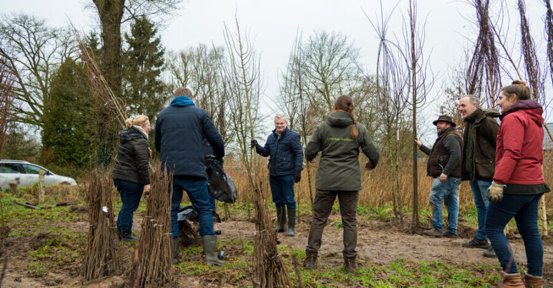 1,1 miljoenste boom Overijssel in Mander | Jessica Winter