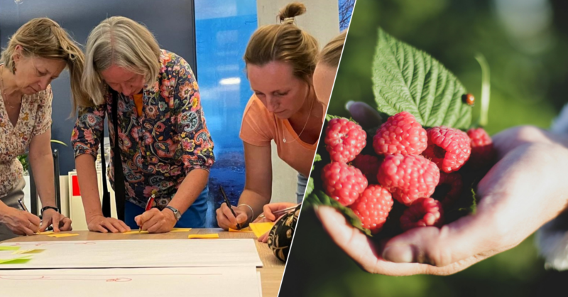 Groep enthousiaste Hengeloërs loopt warm voor vergroening om hun stad leefbaar te houden