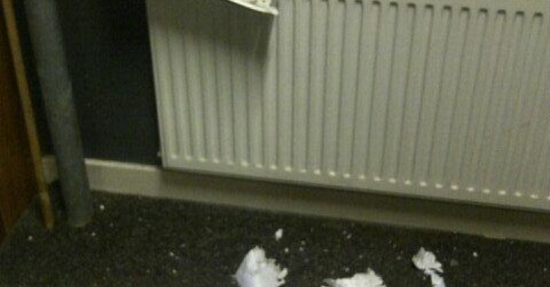 Schade door vuurwerk in schoolbrievenbus