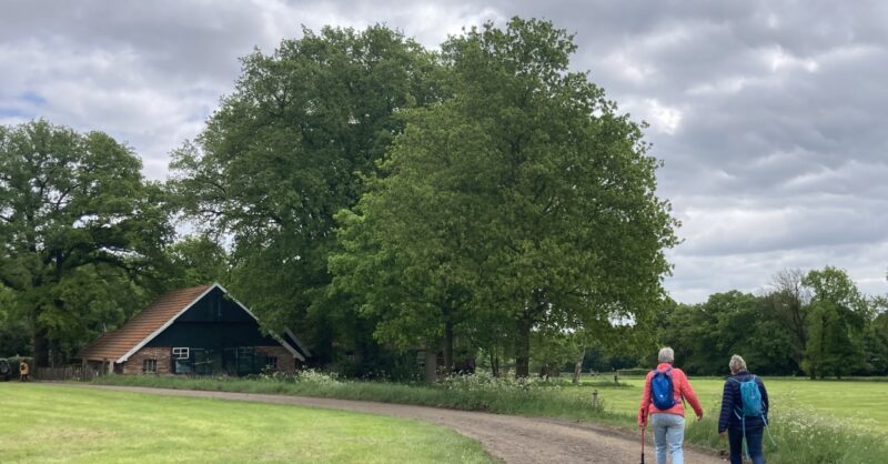 Heurnetocht De Lutte op 3 mei 2026: 'We gaan door de prachtige natuur’