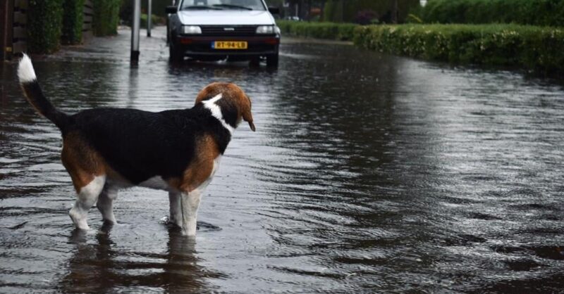 Kritieke infrastructuur in Twente kwetsbaar bij extreme regenval