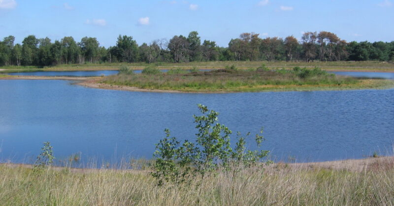 Boeren verliezen rechtszaak over natuurherstel bij Denekamp