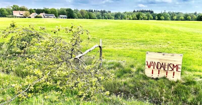 Boomvandalen slaan na Oldenzaal nu ook toe in Denekamp