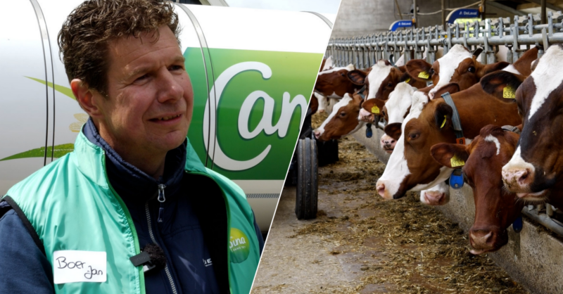 Openboerderij dagen bij familie Haamberg in Tilligte: 'de boer blijft'