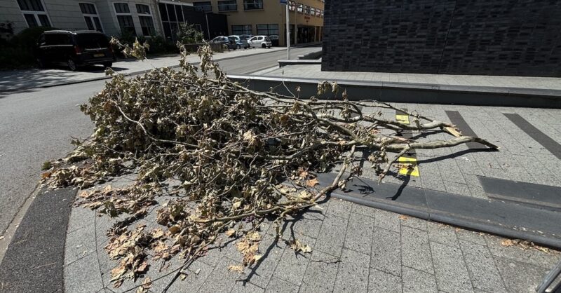 Opruimen takken en bomen na storm kost gemeente Hengelo meer tijd dan gedacht