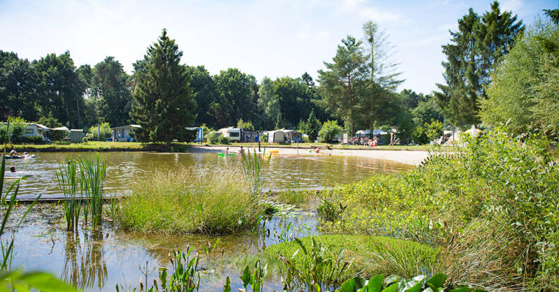 Deze naturistencamping in Enschede is de best beoordeelde van Nederland, volgens bezoekers