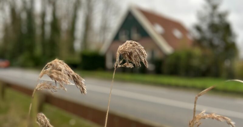 Leider Bid Trees spreekt voor het eerst sinds 40 jaar: "Wij een sekte? Wat een onzin"