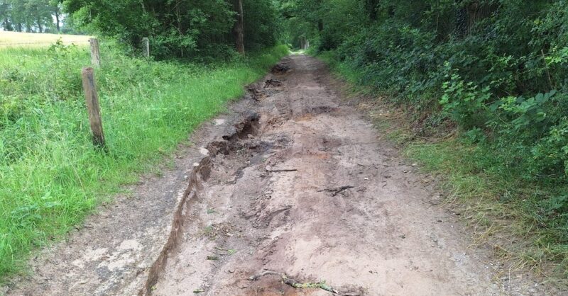 Natuurherstel in Dal van de Mosbeek kan bijdragen aan waterveiligheid bij extreme regenval