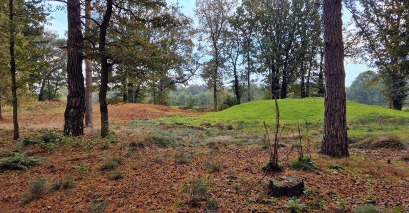 Natuurbegraafplaats ‘Twentsche Grafheuvels’ in Oldenzaal gaat nieuwe fase in op oeroude ‘groond’