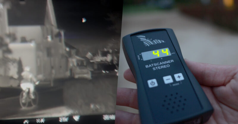 Tubbergen voert ecologisch onderzoek uit naar vleermuizen: 'Ze dachten dat ik een inbreker was'