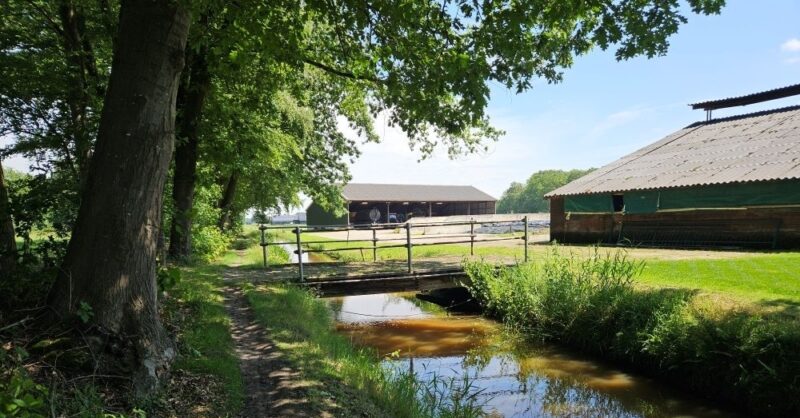 Waterschap Vechtstromen houdt 7 juli inloopbijeenkomst over Waardevolle Kleine Wateren in Weerselo