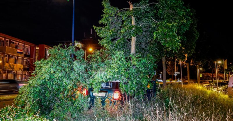 Eenzijdige crash met een boom in Enschede, automobilist slaat op de vlucht