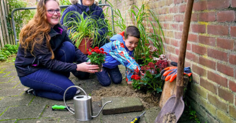Wierden-West krijgt Groene Straat Make-Over: ‘Groen is een bindmiddel’