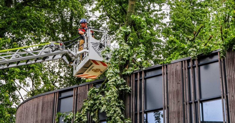 Boom waait tegen kantoor ROC van Twente in Hengelo