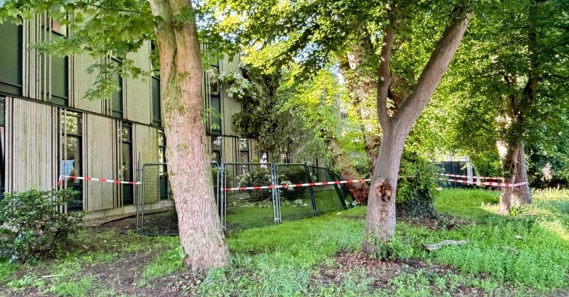 Origineel hek van Stork beschadigd door omgewaaide boom in Hengelo