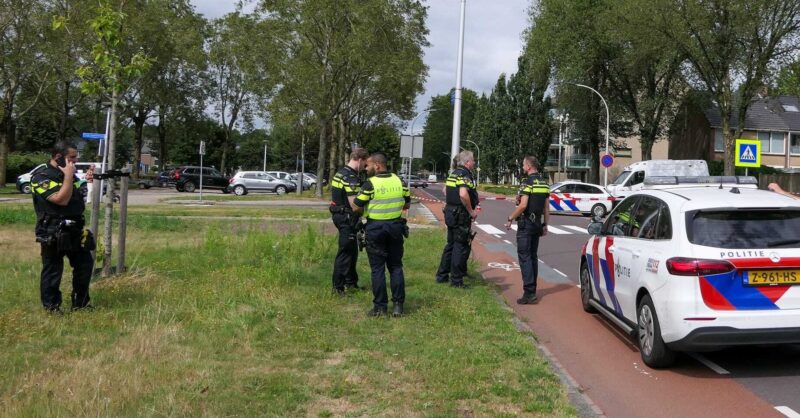 Voetgangster en hond aangereden in Hengelo: bestuurder aangehouden