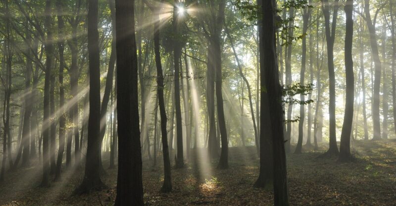 Walk into the Light in Almelo: stil staan bij suïcidaliteit | Veronique Scholte