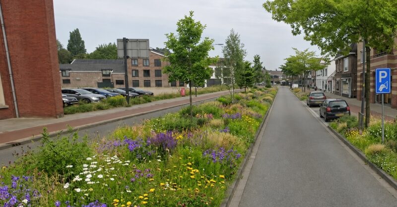 Ongebruikte busbanen eruit, plantjes erin? Hengelo bekijkt mogelijkheden om stad verder te vergroene