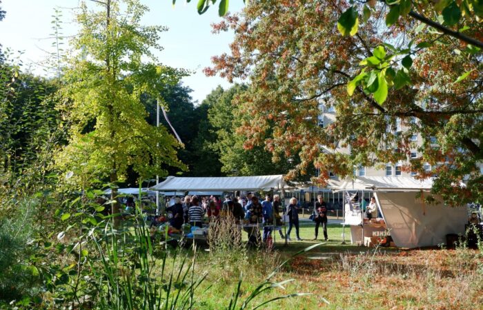 Oogstfestival in Doepark de Hagen