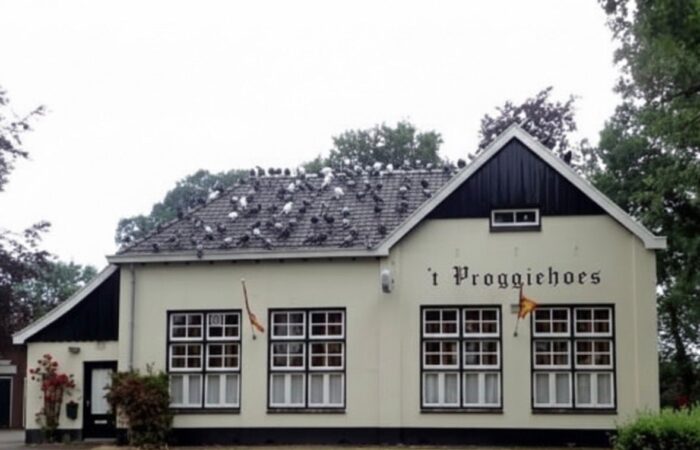 Jaarlijkse duivententoonstelling Beckum dit keer zonder duiven