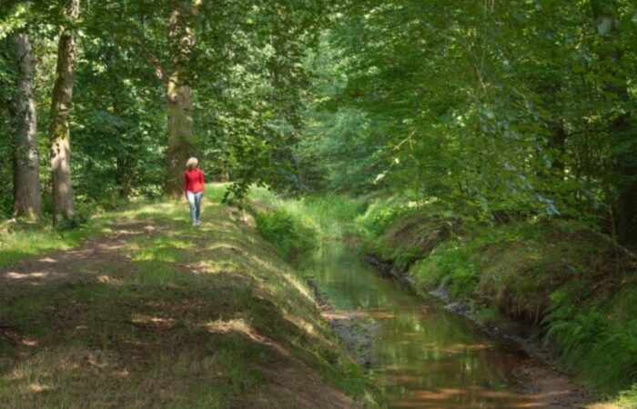 Natuurwerkdagen 2025