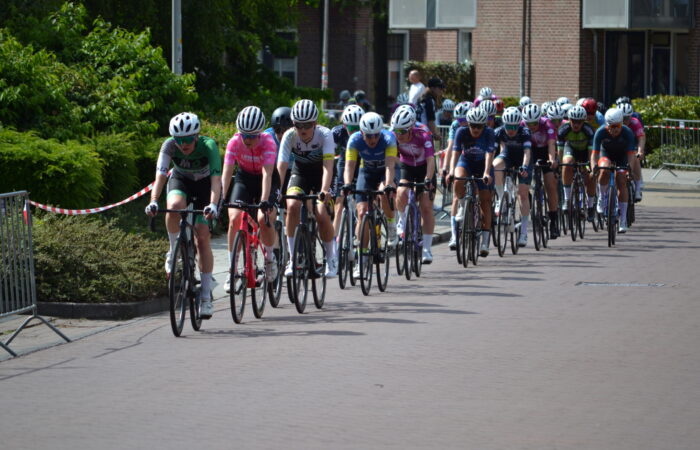 De Ronde van Wierden