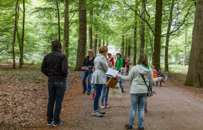 Op bomenexpeditie -ontdek de woudreuzen Mander