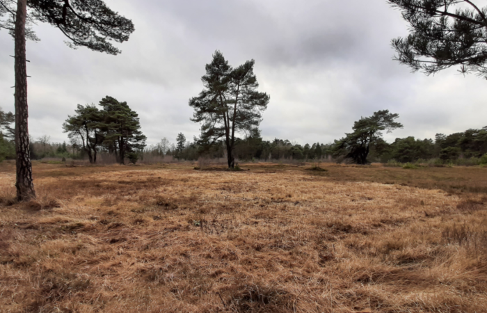 Inspiratiedag op Natuurbegraafplaats Landgoed Christinalust