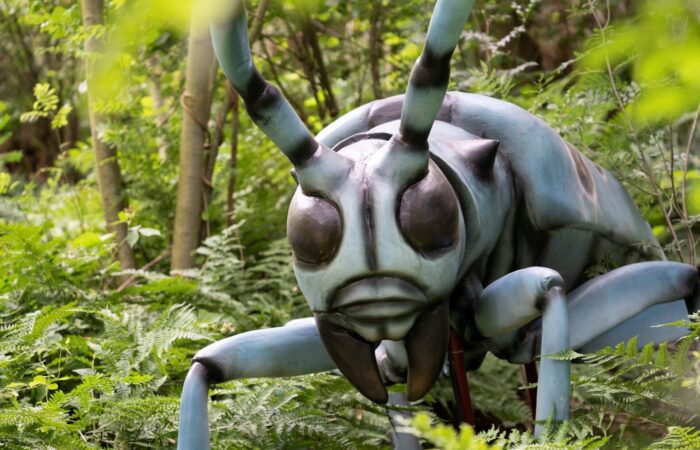 Grote Insecten veroveren Natura Docet deze zomer