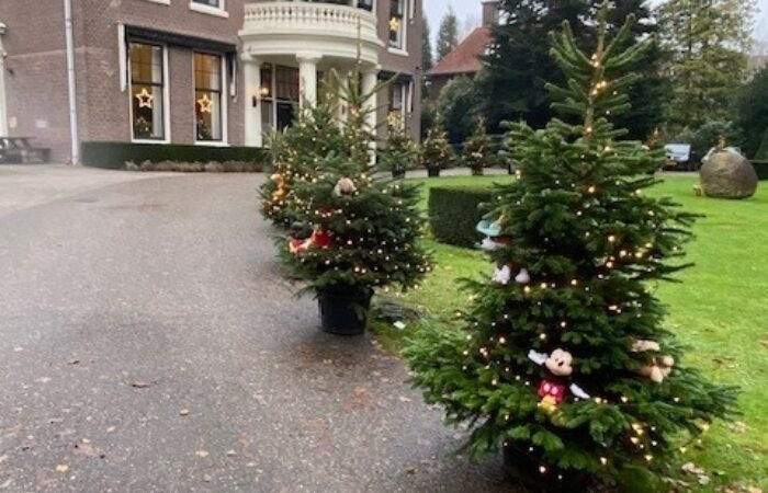 Kerstknuffels plukken