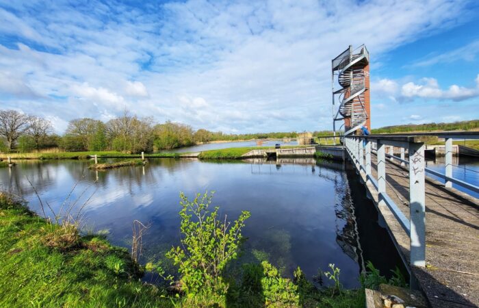 Op vroege vogelexcursie in het Kristalbad tussen Enschede en Hengelo