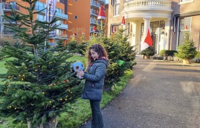 Pluk gratis een knuffel uit de kerstboom