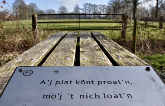 Dialectwandeling met gids de Lutte