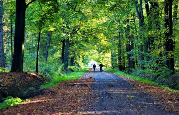 Wandelvereniging Ambulare traditionele Snerttocht