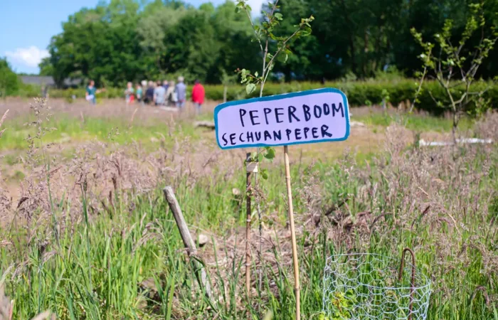 Voedselbos Weusthag open tijdens landelijke Open Voedselbossendag