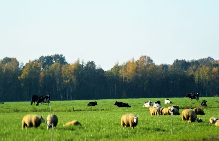 Fiets, proef en geniet: de Boergondische Fietstocht is weer terug!