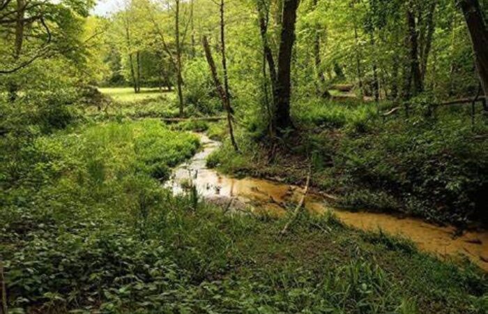 Nachtbeest'n excursie bie Hoeve Springendal