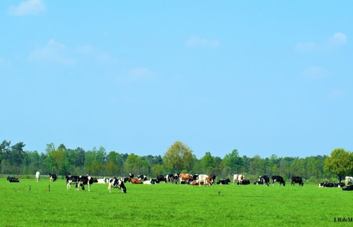 Streekproductenroutes Beuningen, Denekamp en De Lutte