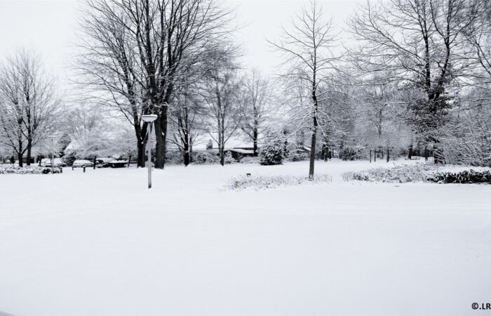 Nieuwjaarswandeling Dal van de Mosbeek