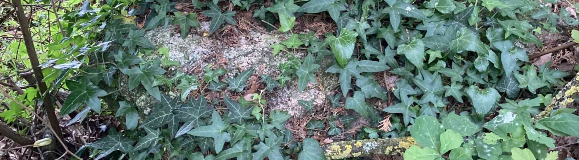 230601 lemerij markesteen FOTO GEMEENTE HENGELO