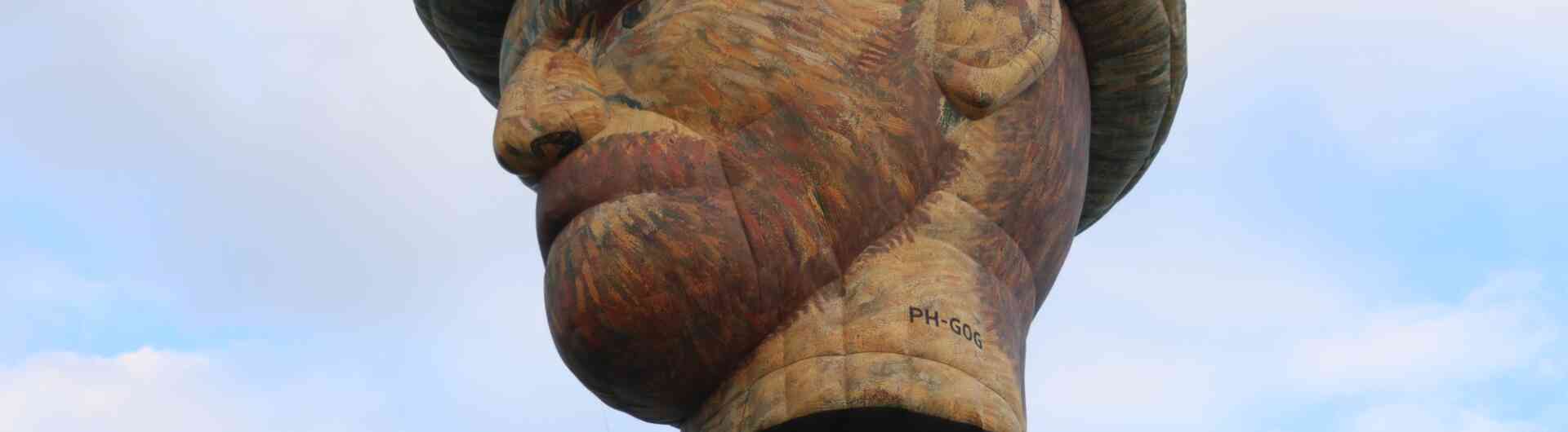 Twente Ballooning Vincent