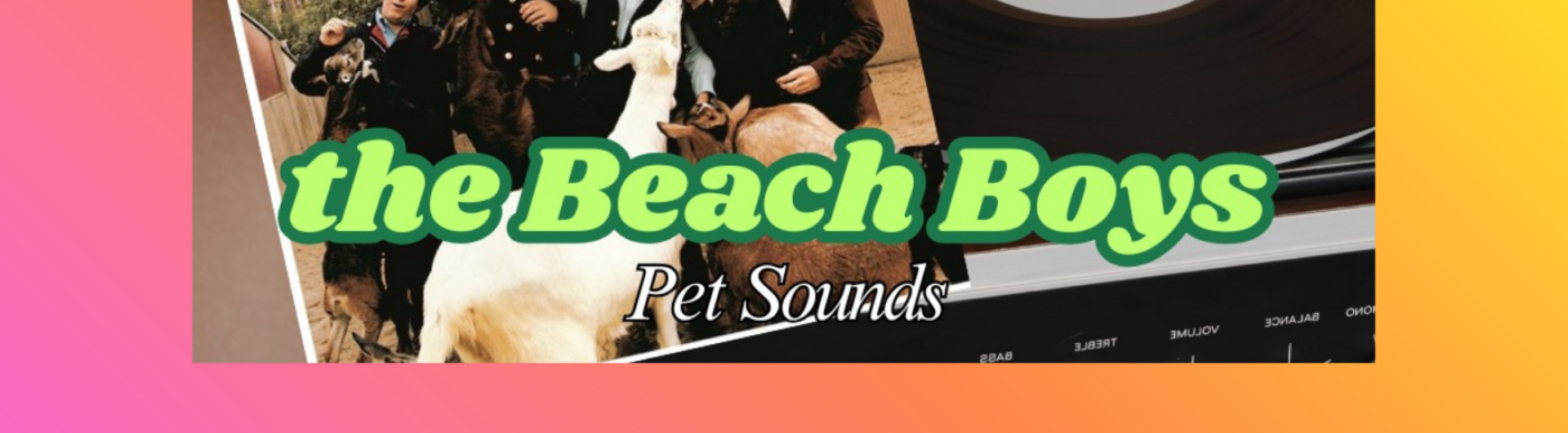 Afl 337 60 jaar Beach boys