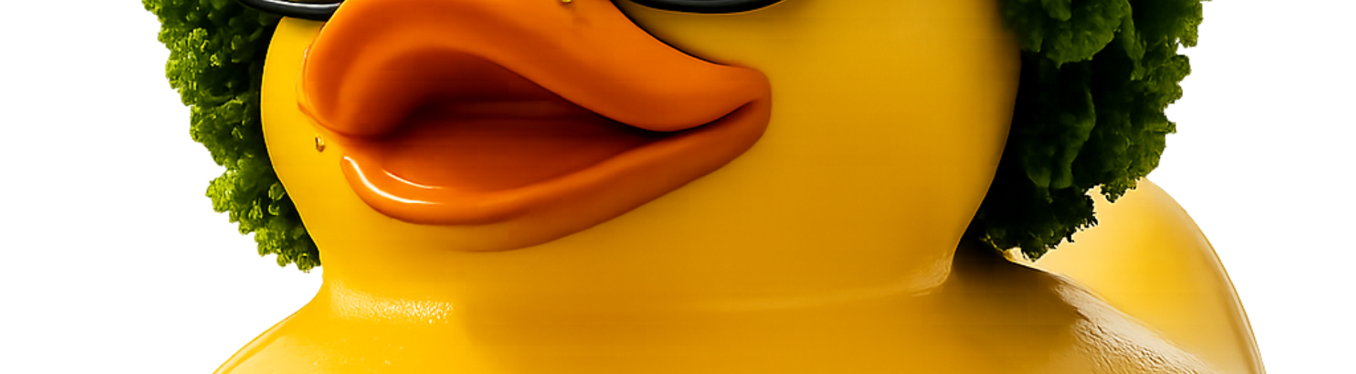 Badeendjesrace