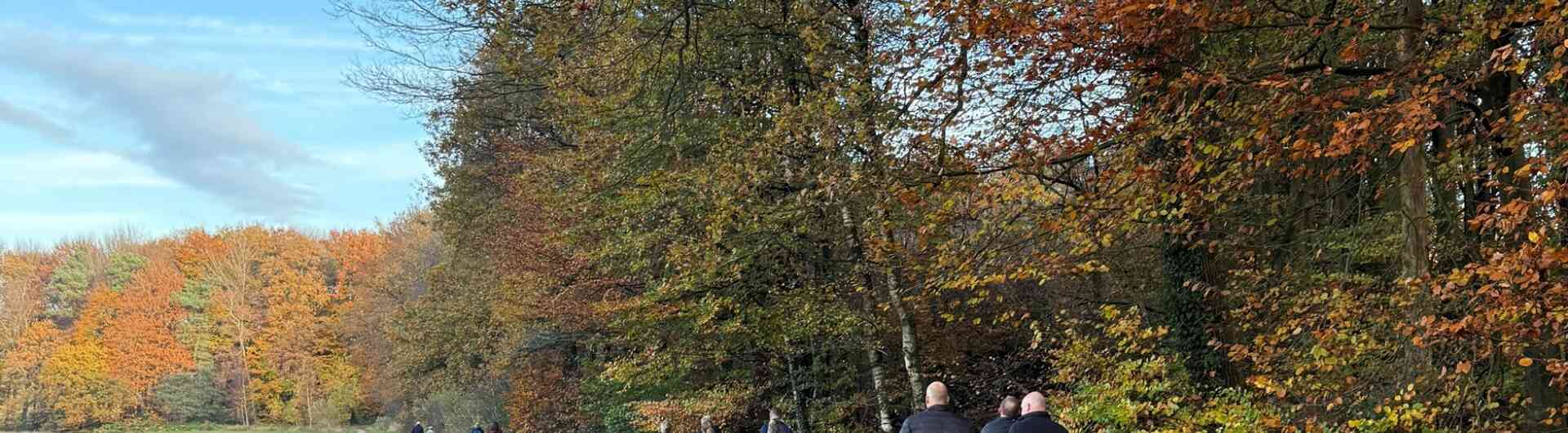 Bok Op Stap De Lutte 26a