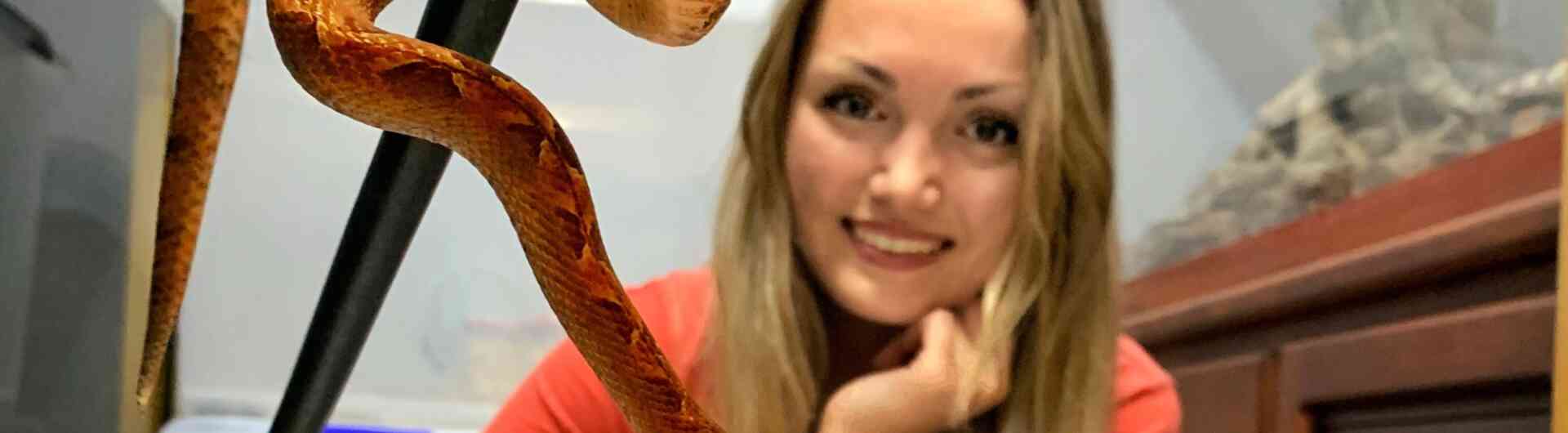 Groene Karavaan Sterrin Smalbrugge