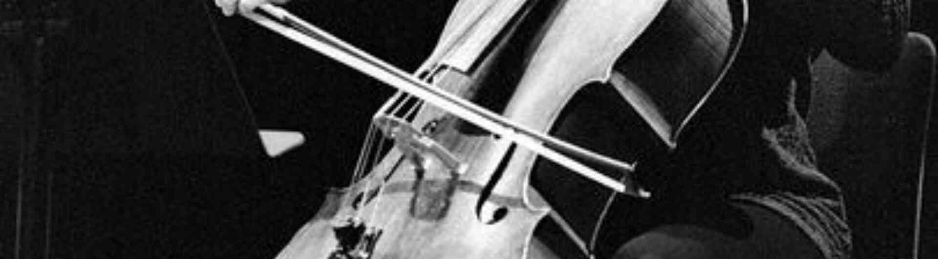 Ilonka van der bercken